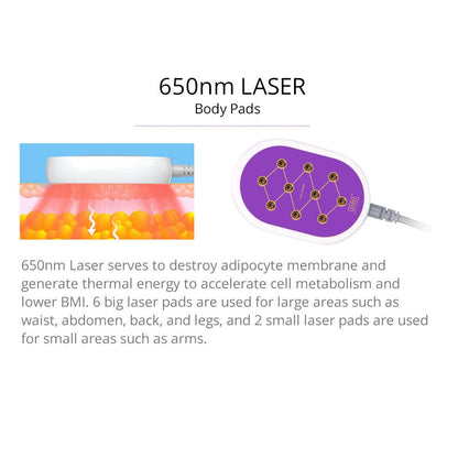 Shape Tactics S-Shape 30K Cavitation LED Laser System - Renee Lane Company
