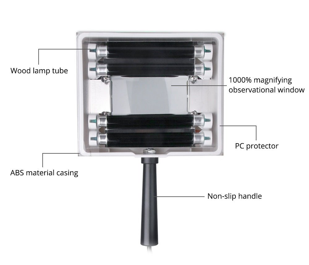 Shape Tactics UV Skin Analyzer Lamp - Renee Lane Company