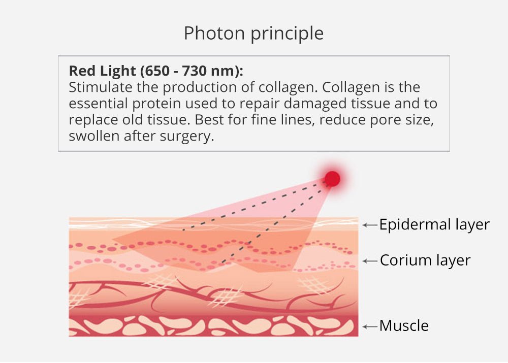 Shape Tactics Unoisetion 40K Cavitation Ultrasound RF Vacuum Photon System - Renee Lane Company