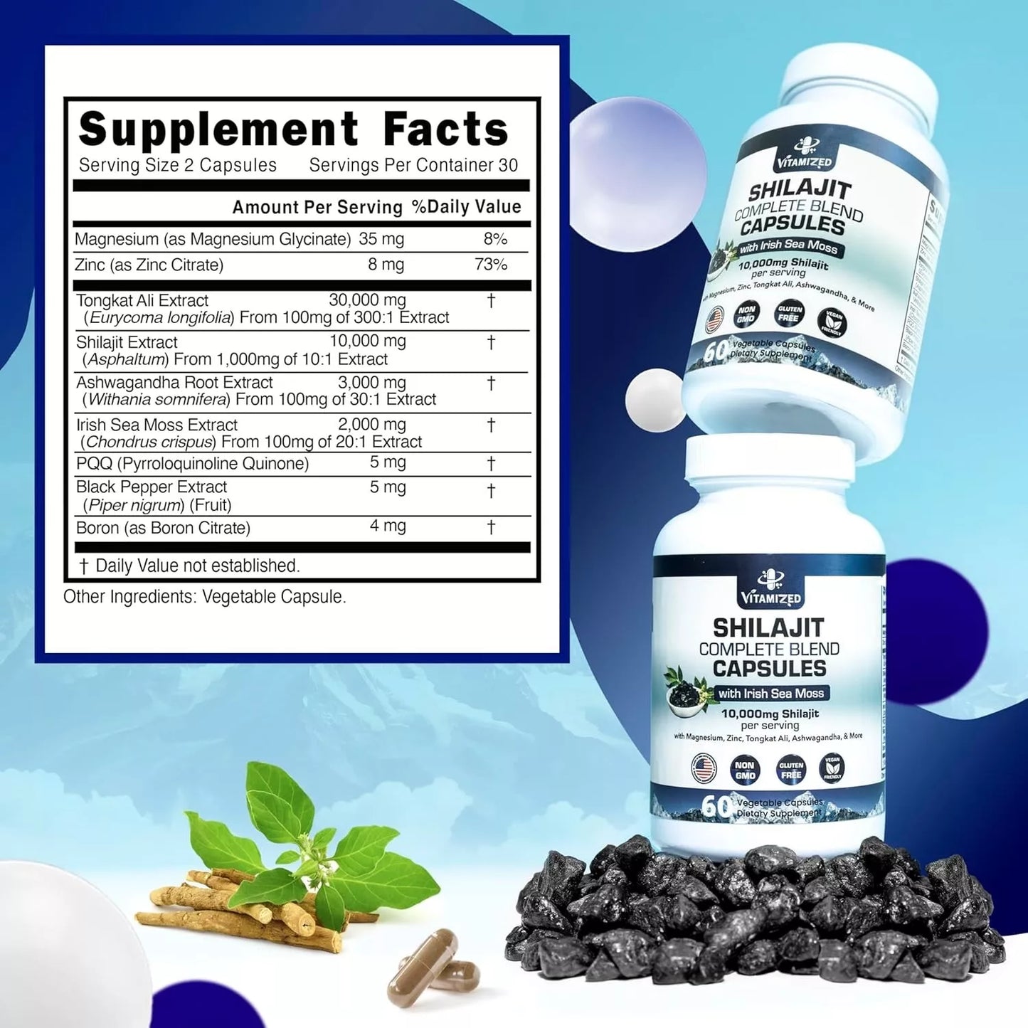 Shilajit Complete Blend - Energy and Endurance - Pure Shilajit Extract - 60 Capsules - Renee Lane Company