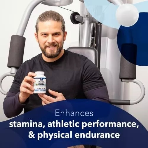 Shilajit Complete Blend - Energy and Endurance - Pure Shilajit Extract - 60 Capsules - Renee Lane Company