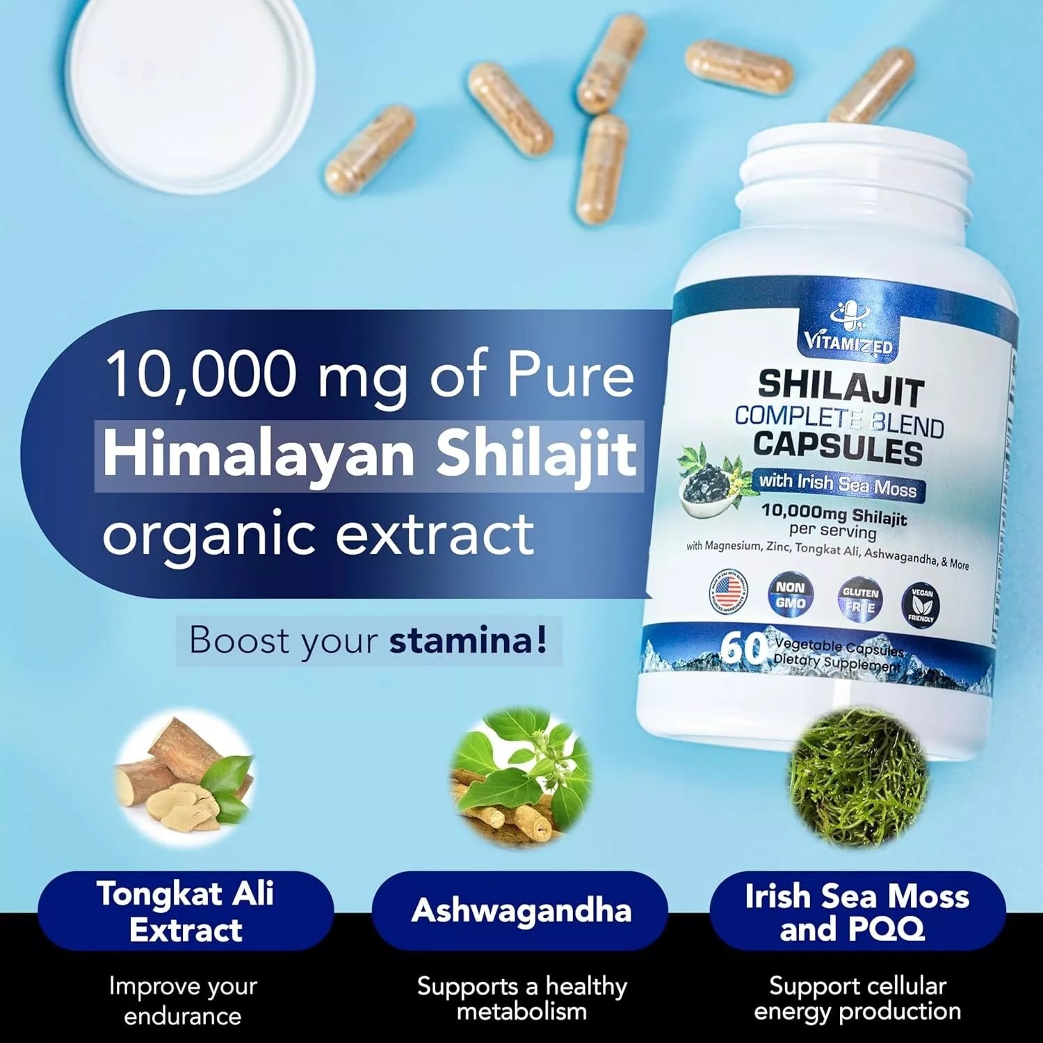 Shilajit Complete Blend - Energy and Endurance - Pure Shilajit Extract - 60 Capsules - Renee Lane Company