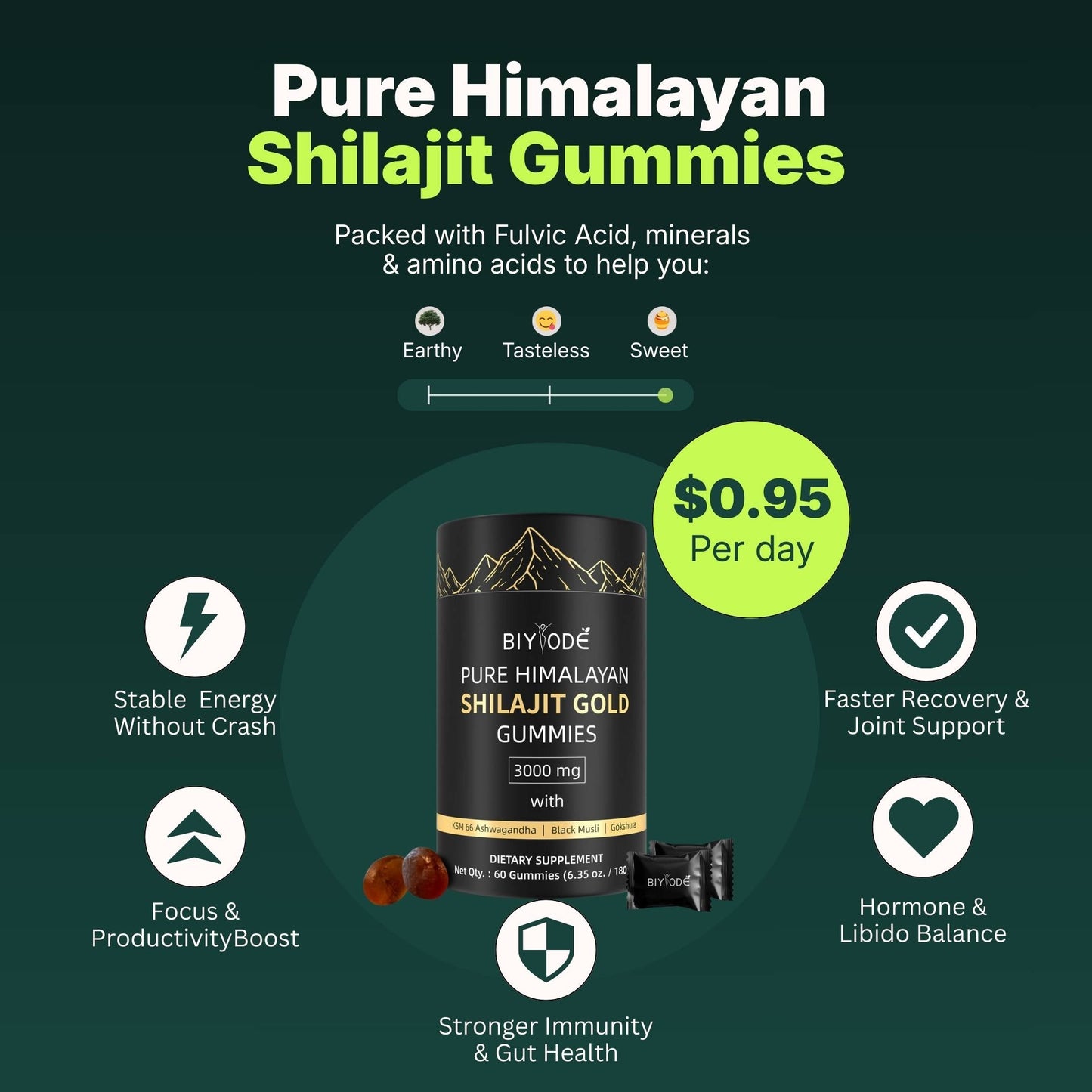 Shilajit Gummies: Pure Shilajit Himalayan - Renee Lane Company