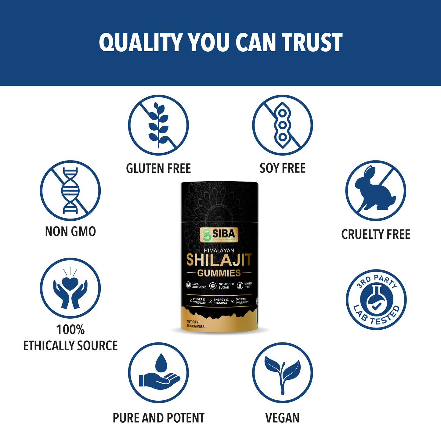 Shilajit Gummies - Renee Lane Company