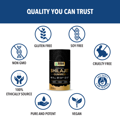 Shilajit Gummies - Renee Lane Company