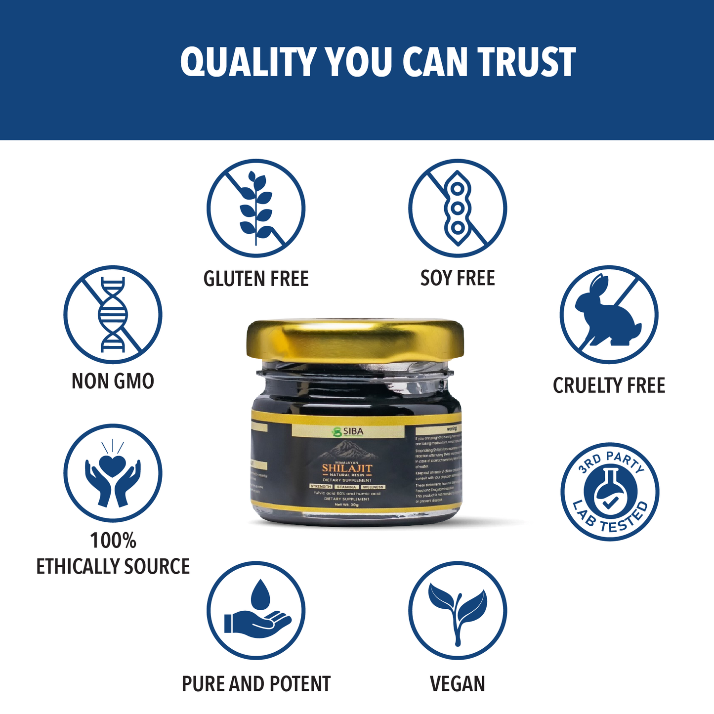 Shilajit Resin - Renee Lane Company