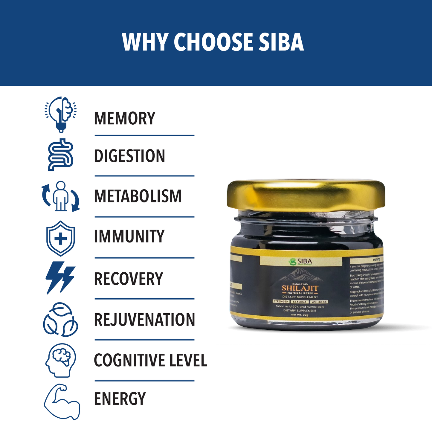 Shilajit Resin - Renee Lane Company