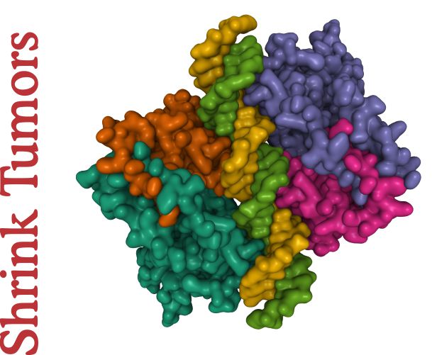 Wild Canadian Chaga Elixir