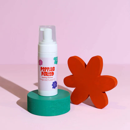 Silicone Safe Foaming Cleanser - Renee Lane Company