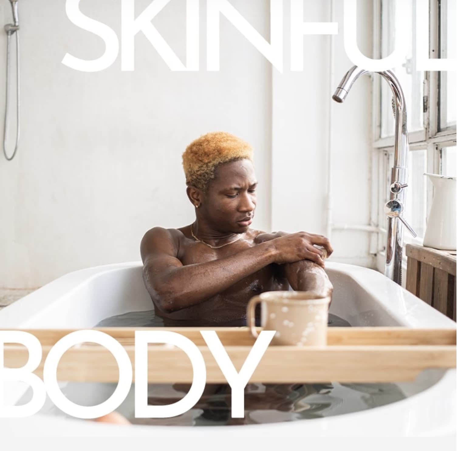 Skinful Moisturizing Shower Gel Body Wash - Sulfate Free Body Wash for All Skin Types - 8.2oz - Renee Lane Company