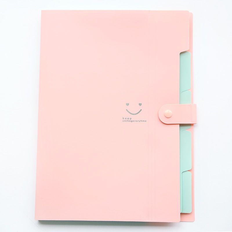 Smile 2pcs File Folder Plastic A4 Document Bags Material Folder Test Roll Holder Storage Bags Accordion Bag - Renee Lane Company