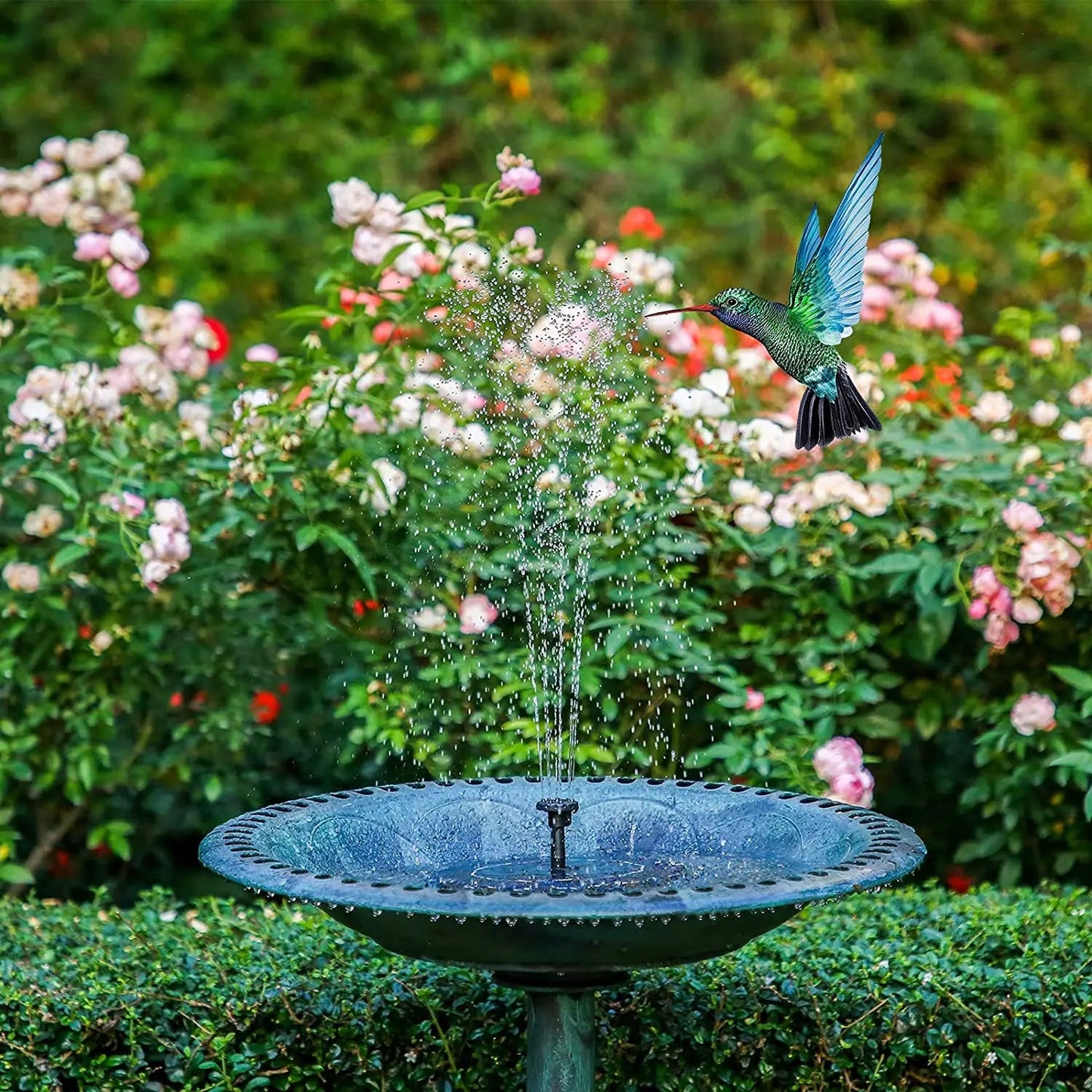 Solar Water Fountain - Renee Lane Company