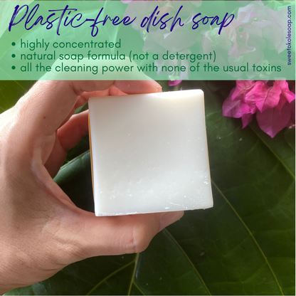 Solid Dish Soap Bar Non-Toxic, Unscented, Plastic-Free Dishwashing - Renee Lane Company