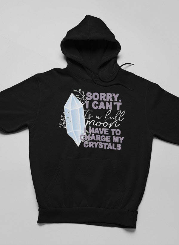 Sorry i can't Hoodie - Renee Lane Company