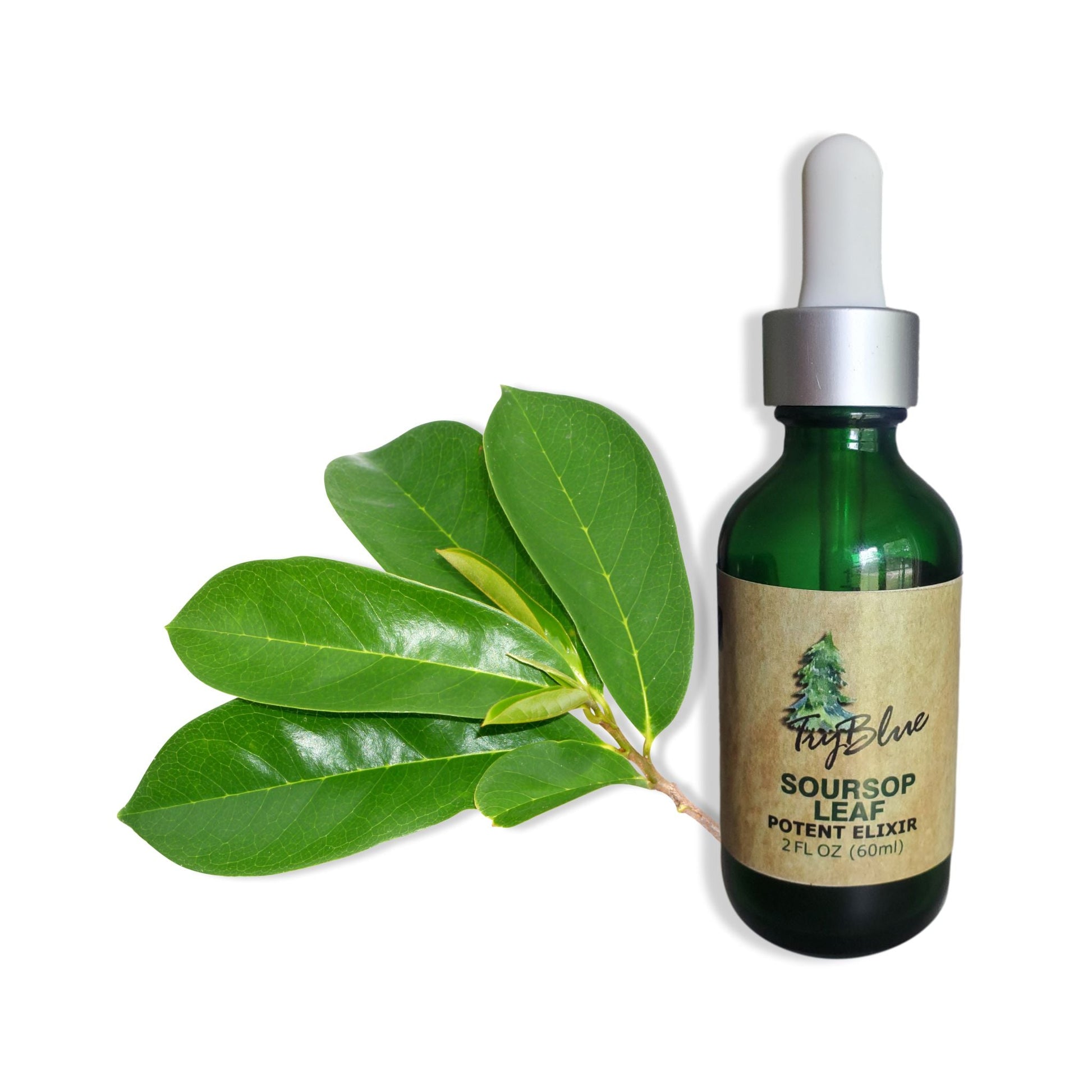 Soursop Leaf Elixir - Renee Lane Company