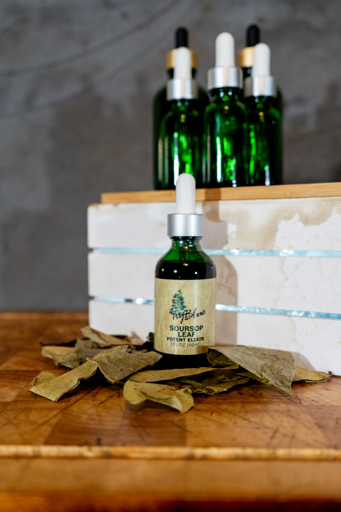 Soursop Leaf Elixir - Renee Lane Company