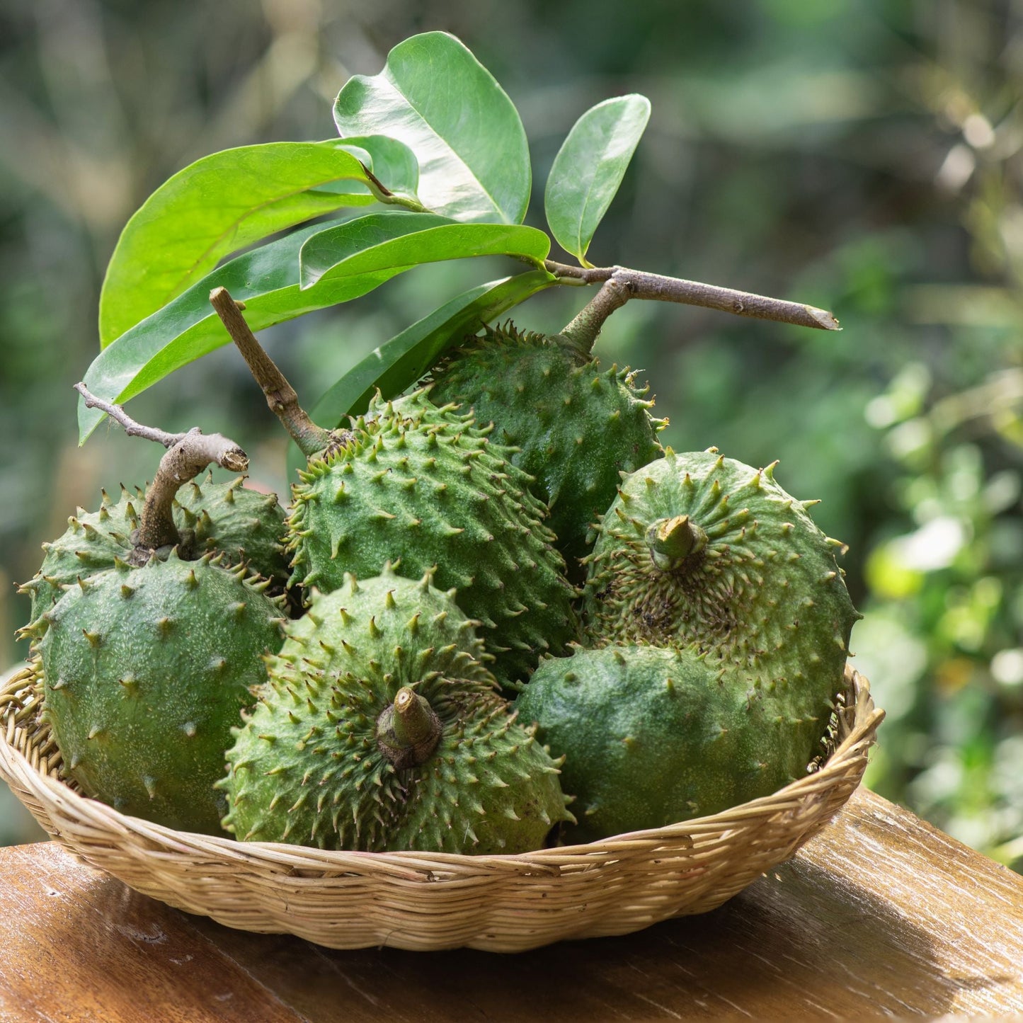 Soursop Leaf Elixir - Renee Lane Company