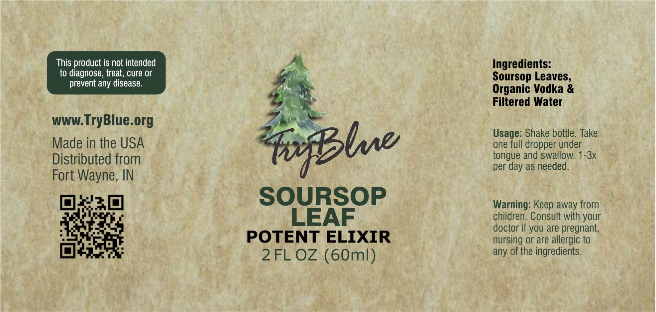 Soursop Leaf Elixir - Renee Lane Company