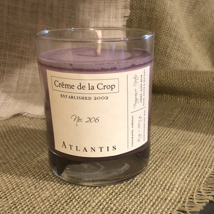 Soy Candle - Atlantis (Sea Salt & Dark Musk) - Renee Lane Company
