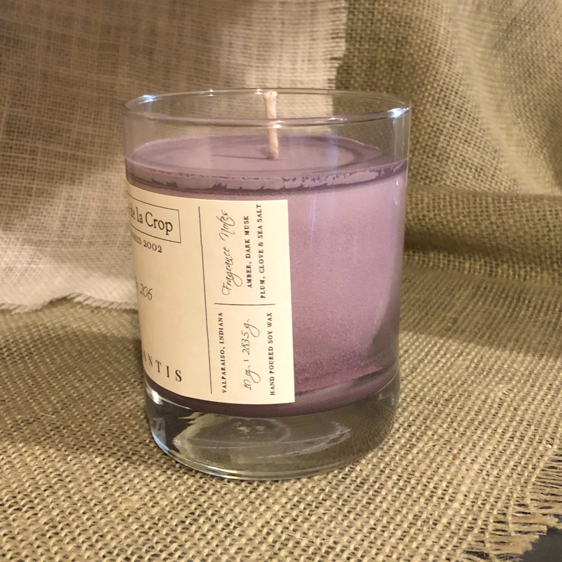 Soy Candle - Atlantis (Sea Salt & Dark Musk) - Renee Lane Company