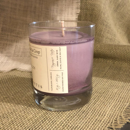 Soy Candle - Atlantis (Sea Salt & Dark Musk) - Renee Lane Company