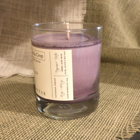 Soy Candle - Atlantis (Sea Salt & Dark Musk) - Renee Lane Company