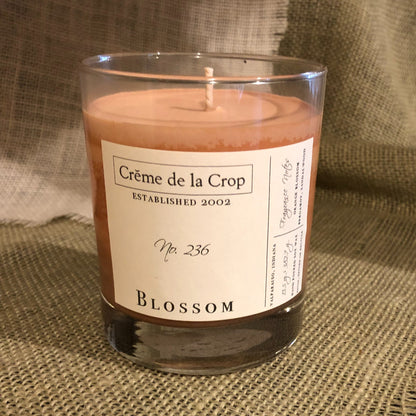 Soy Candle - Blossom (Orange Blossom) - Renee Lane Company
