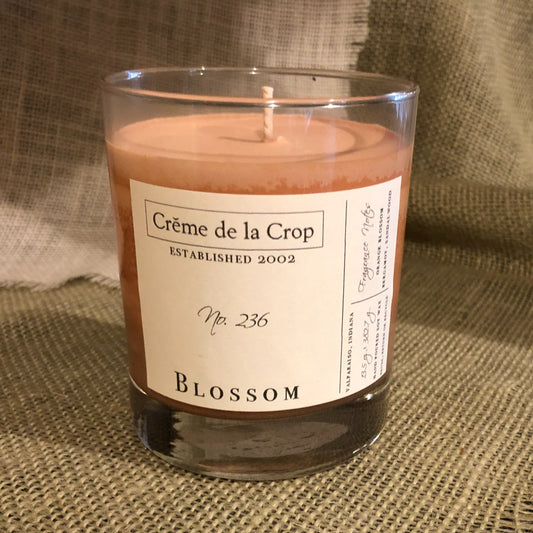 Soy Candle - Blossom (Orange Blossom) - Renee Lane Company