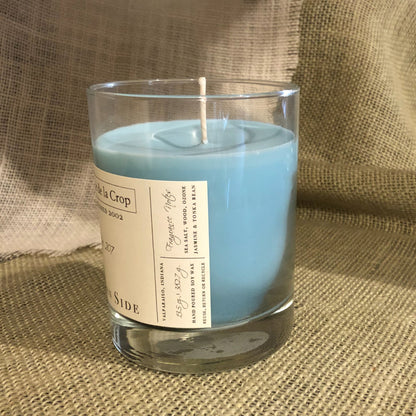 Soy Candle - Ocean Side - Renee Lane Company