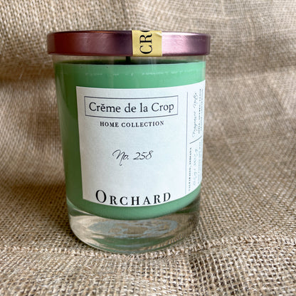 Soy Candle - Orchard (Crisp Apple) - Renee Lane Company