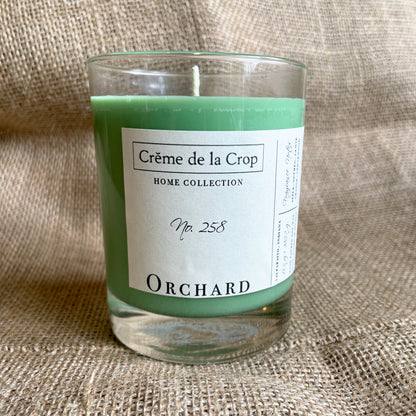 Soy Candle - Orchard (Crisp Apple) - Renee Lane Company