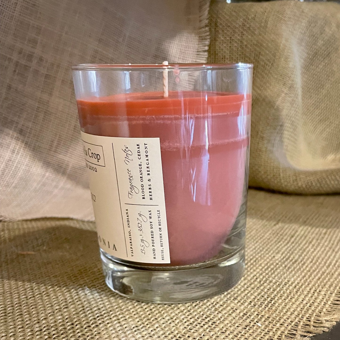 Soy Candle - Palagonia (Blood Orange) - Renee Lane Company
