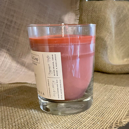 Soy Candle - Palagonia (Blood Orange) - Renee Lane Company
