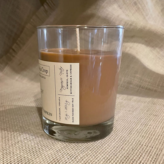 Soy Candle - Toasted Pumpkin - Renee Lane Company