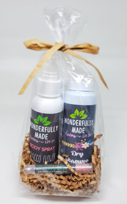 Spa Gift Basket | Ladies Essential Care Package | Organic All-Natural | Dry Shampoo | Lip Balm | Body Spray | Thinking of you | Take Care - Renee Lane Company