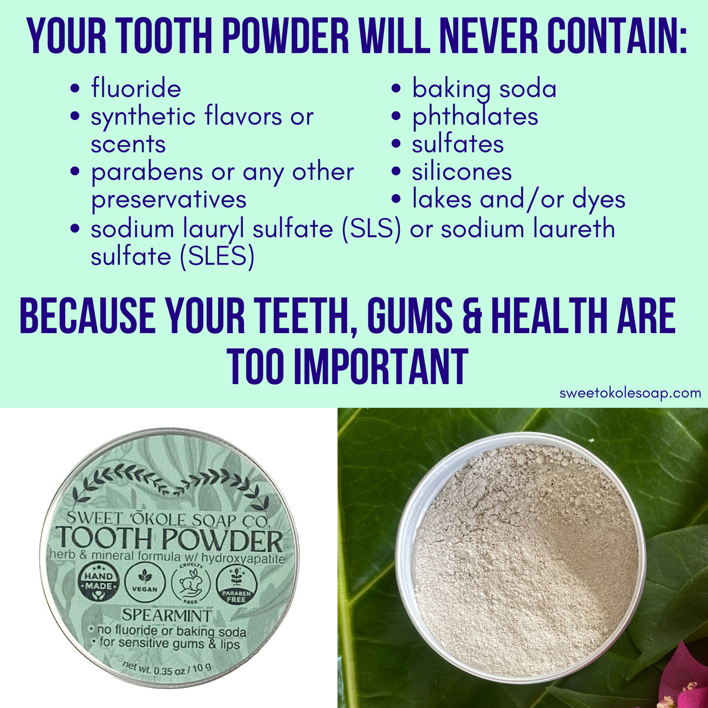 Spearmint Tooth Powder with Noni & 5% Hydroxyapatite - Renee Lane Company
