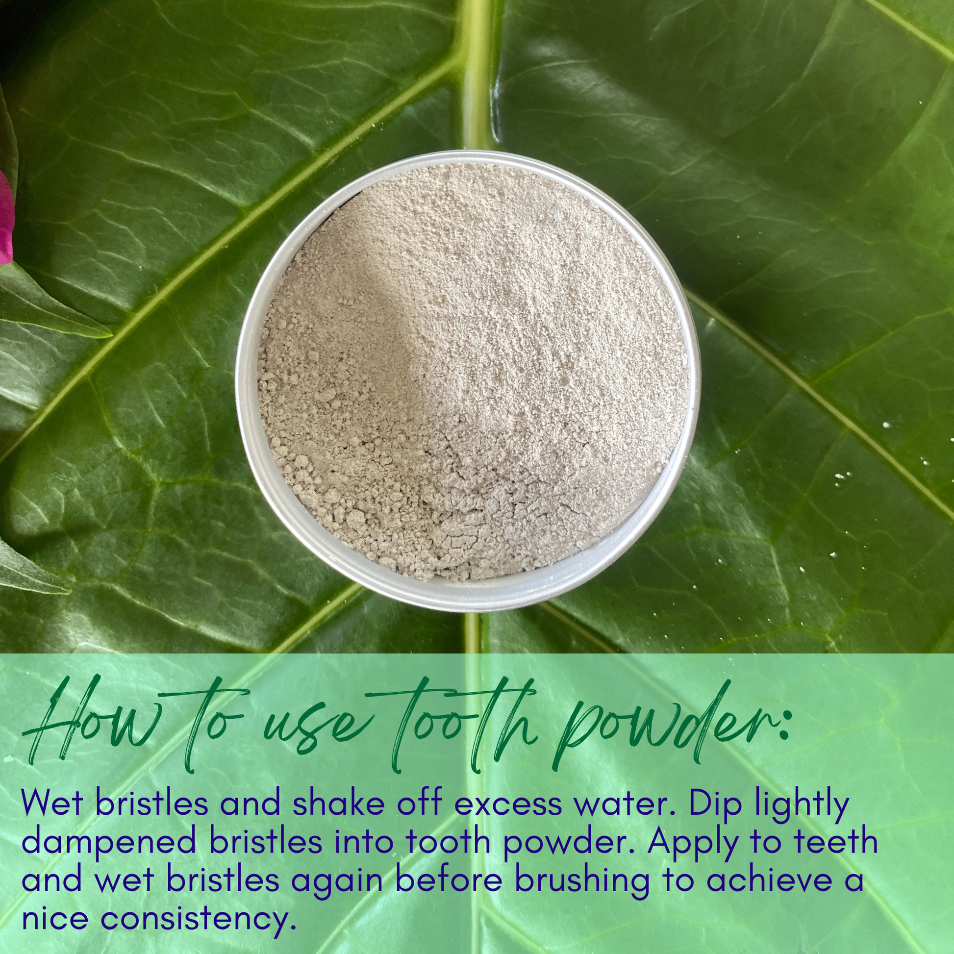 Spearmint Tooth Powder with Noni & 5% Hydroxyapatite - Renee Lane Company