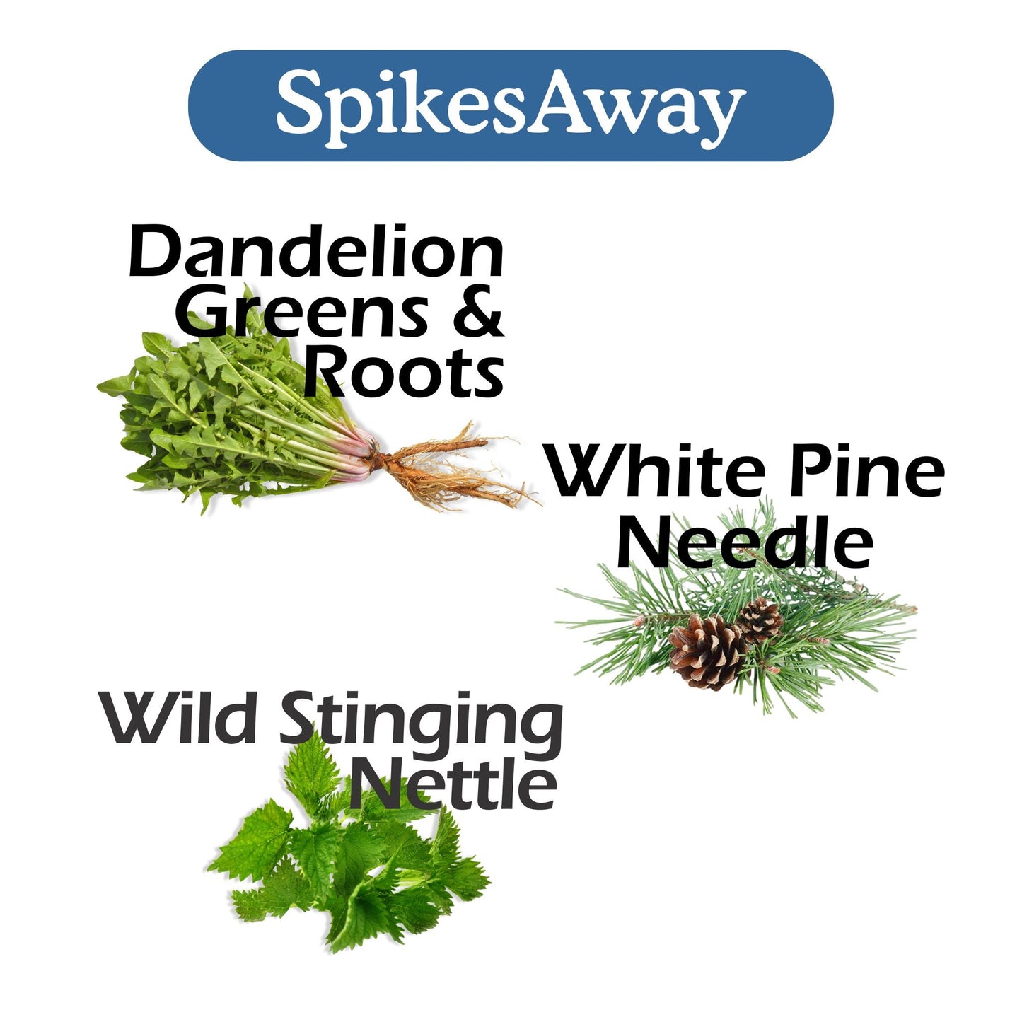 SpikesAway Bundle - Renee Lane Company
