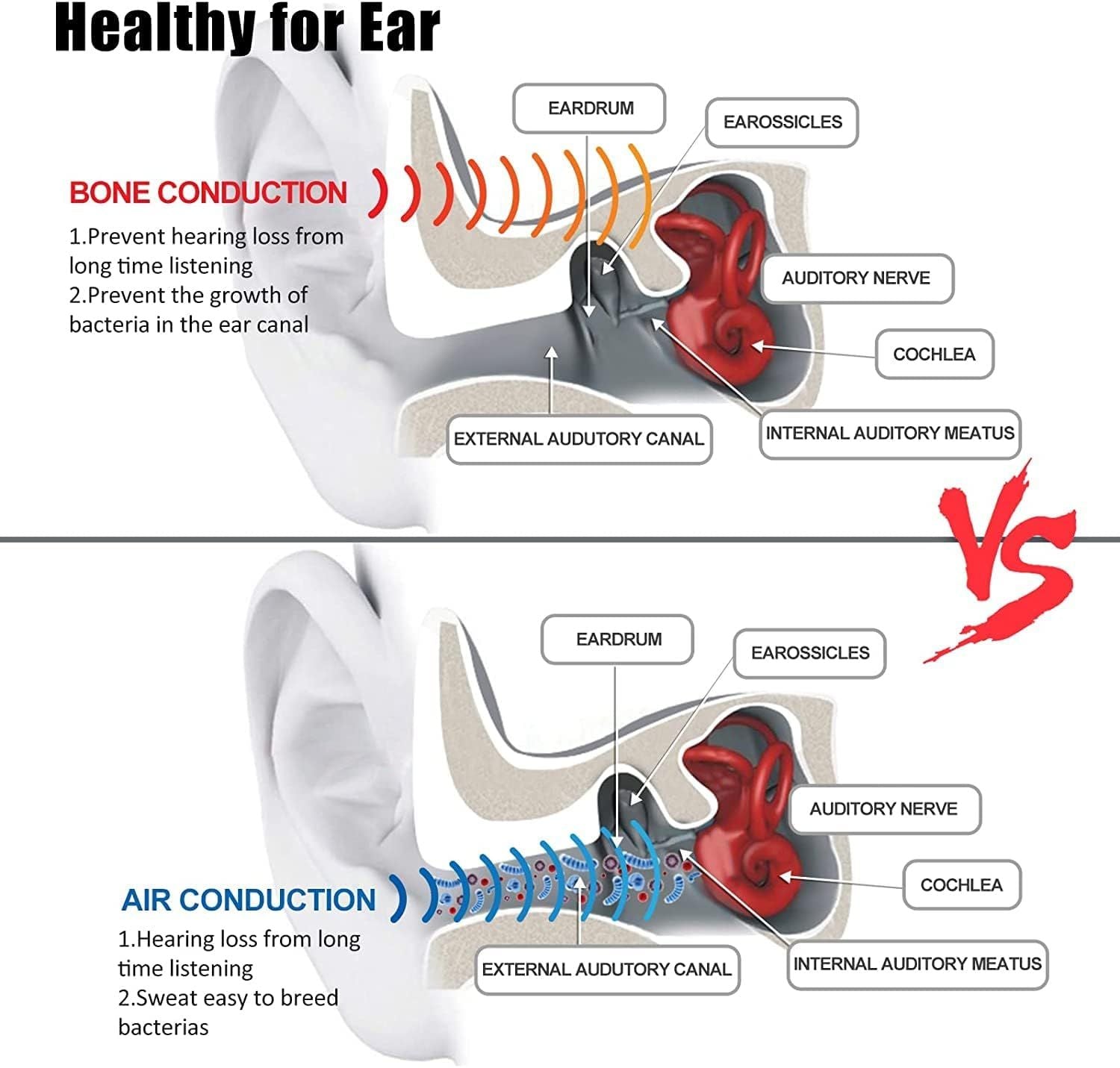 Sport Wireless Bone Conduction Earphones – Open-Ear Safety Design, IPX6 Sweat-proof, 8 Hrs Call - Renee Lane Company