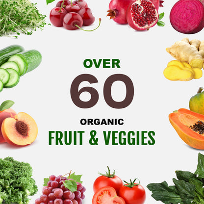 Plant Based Sport Protein