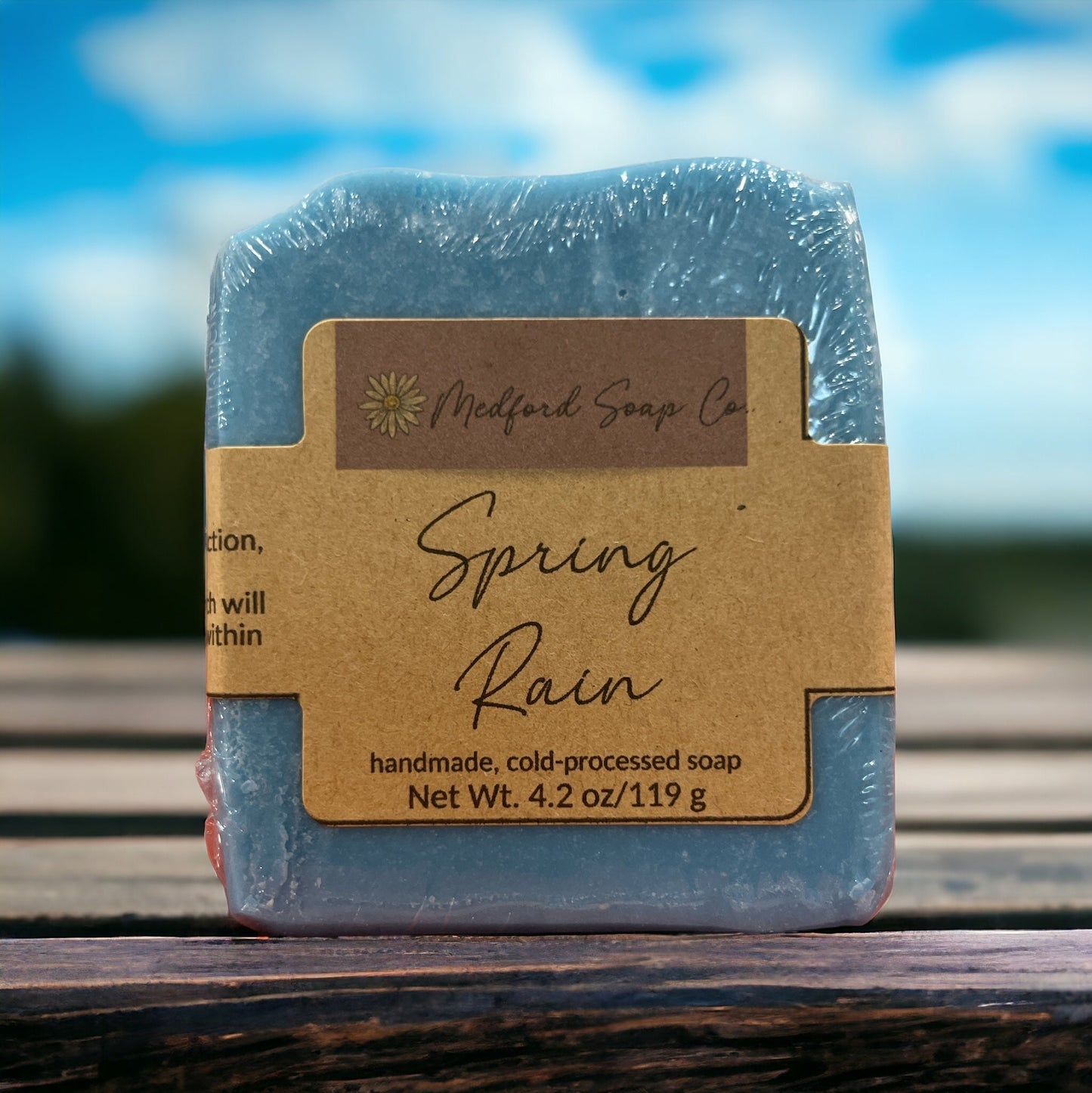 Spring Rain - Renee Lane Company