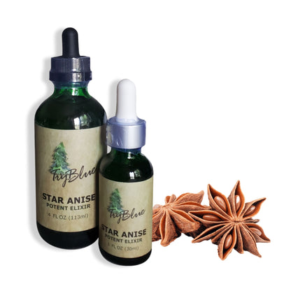 Star Anise Elixir - Renee Lane Company
