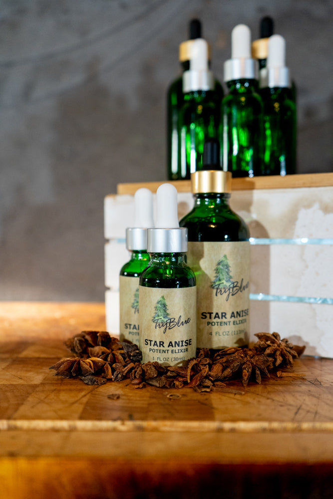 Star Anise Elixir - Renee Lane Company