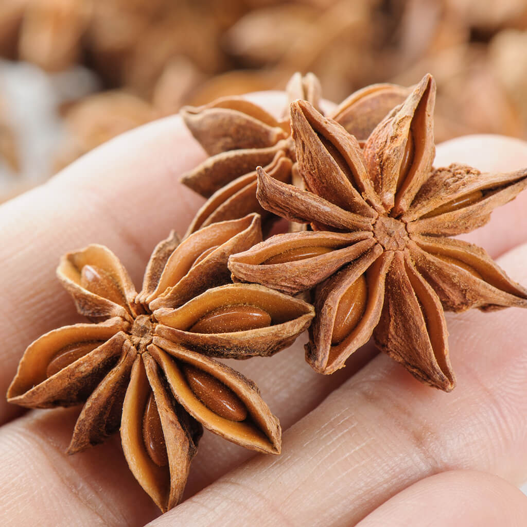 Star Anise Elixir - Renee Lane Company