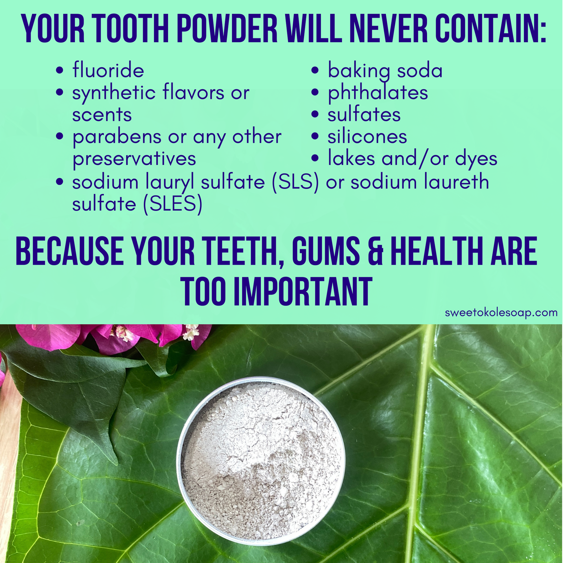 Sweet Cinnamon Tooth Powder with Hydroxyapatite for Enamel Strength - Renee Lane Company