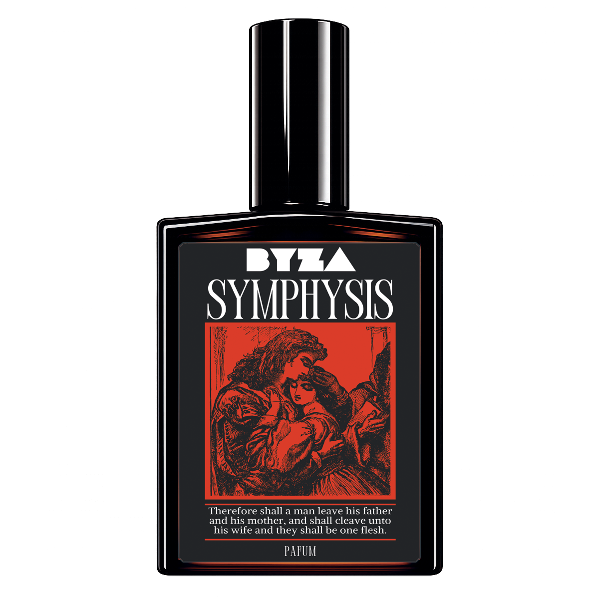 Symphysis - Renee Lane Company