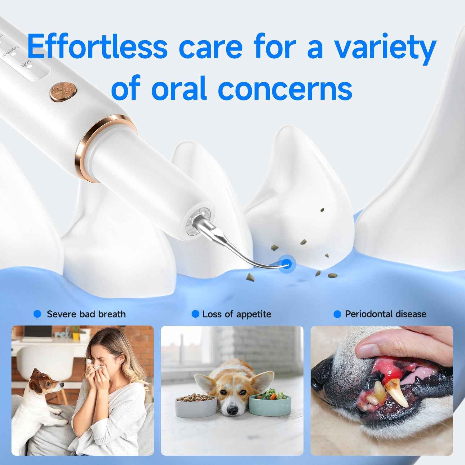 T4 Pet Ultrasonic Tooth Cleaner | Safe Dental Care for Pets - Renee Lane Company