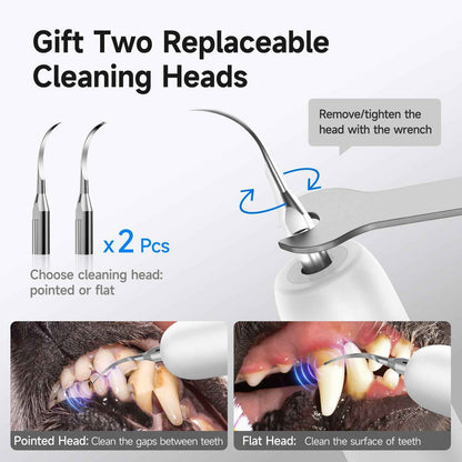 T5 Pet Ultrasonic Tooth Cleaner | Safe Dental Care for Dogs & Cats - Renee Lane Company