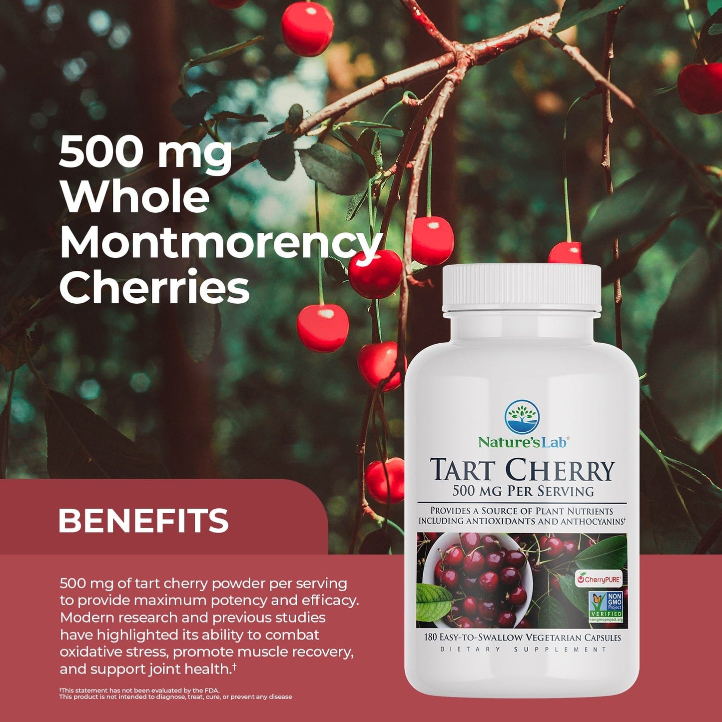 Tart Cherry supplement bottle shown beside whole Montmorency cherries text