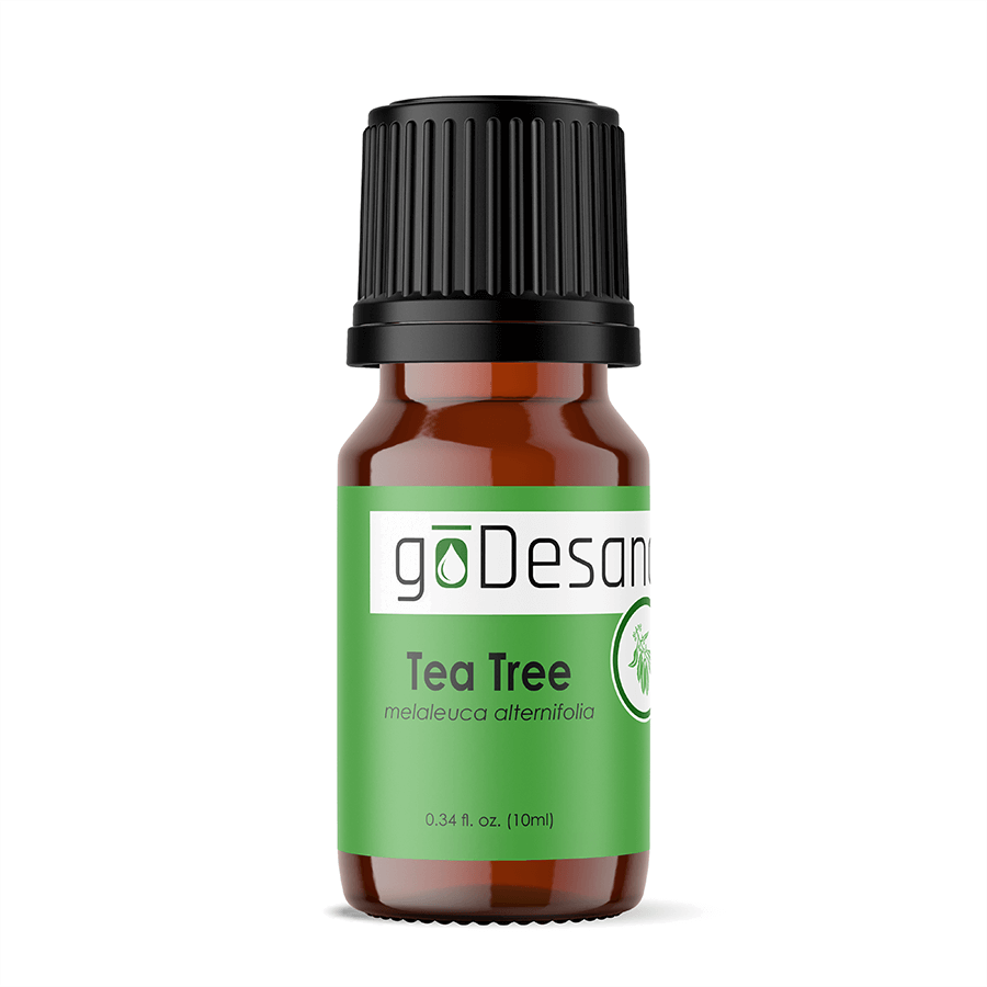 Tea Tree Essential Oil - Renee Lane Company